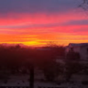 Meet your Posher, Troylene